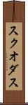 スクオダス Scroll