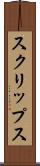 スクリップス Scroll