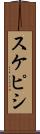 スケピシ Scroll