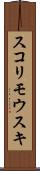 スコリモウスキ Scroll