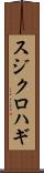 スジクロハギ Scroll
