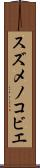 スズメノコビエ Scroll