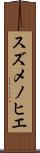スズメノヒエ Scroll
