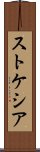 ストケシア Scroll