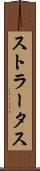 ストラータス Scroll