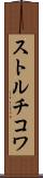 ストルチコワ Scroll