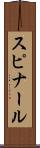 スピナール Scroll