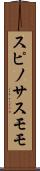 スピノサスモモ Scroll