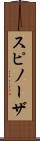 スピノーザ Scroll