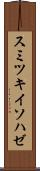 スミツキイソハゼ Scroll