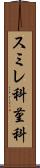 スミレ科 Scroll