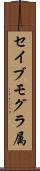 セイブモグラ属 Scroll