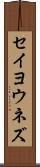 セイヨウネズ Scroll