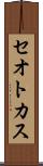 セオトカス Scroll