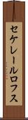 セケレールロフス Scroll