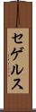 セゲルス Scroll