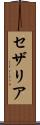 セザリア Scroll