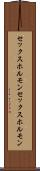 セックスホルモン Scroll