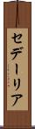 セデーリア Scroll