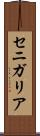 セニガリア Scroll