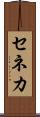 セネカ Scroll