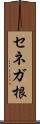 セネガ根 Scroll