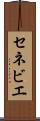 セネビエ Scroll