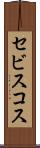 セビスコス Scroll