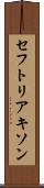 セフトリアキソン Scroll