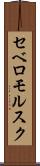 セベロモルスク Scroll