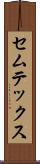 セムテックス Scroll