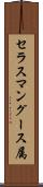 セラスマングース属 Scroll