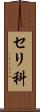 セリ科 Scroll