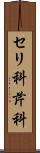 セリ科 Scroll