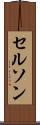Celson Scroll