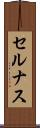セルナス Scroll