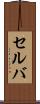 セルバ Scroll