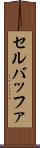 セル・バッファ Scroll