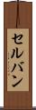 セルバン Scroll