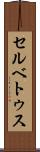セルベトゥス Scroll