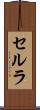 セルラ Scroll