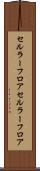 セルラーフロア Scroll