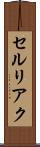 セルリアク Scroll