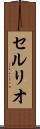 セルリオ Scroll