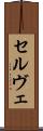 セルヴェ Scroll