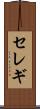 セレギ Scroll