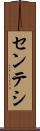 センテシ Scroll