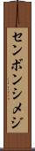 センボンシメジ Scroll