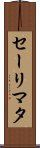 Salimata Scroll