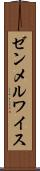 ゼンメルワイス Scroll